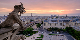 A Gargoyle of Notre Dame overlooking Paris, France